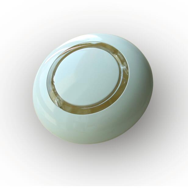 Voice Button